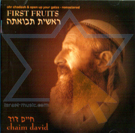 Chaim Dovid