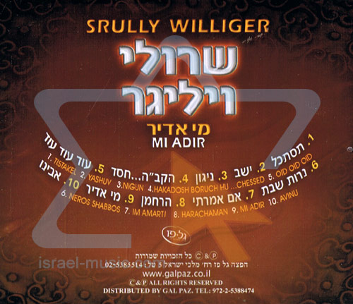 Mi Adir by Yisroel (Srully) Williger